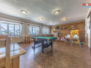 Prodej chaty, Benecko, 1480 m2