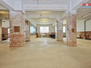 Pronájem výrobních prostor, Havlíčkův Brod, Humpolecká, 250 m2