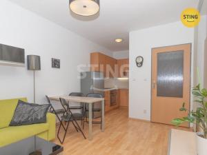 Pronájem bytu 1+kk, Brno, Francouzská, 30 m2