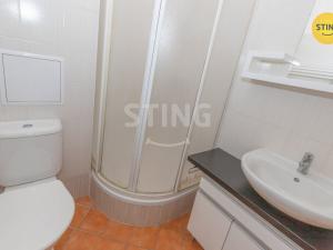 Pronájem bytu 1+kk, Brno, Francouzská, 30 m2
