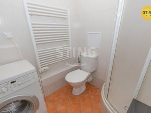 Pronájem bytu 1+kk, Brno, Francouzská, 30 m2