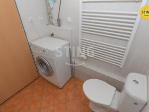 Pronájem bytu 1+kk, Brno, Francouzská, 30 m2