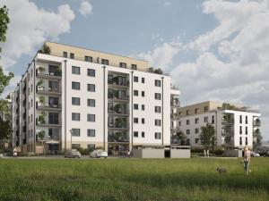 Prodej bytu 1+kk, Rychnov nad Kněžnou, Mírová, 31 m2