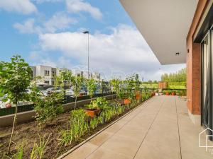 Prodej bytu 2+kk, Praha - Letňany, Pavla Beneše, 63 m2