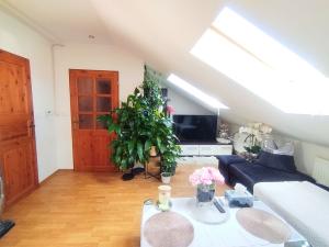 Pronájem bytu 2+kk, Ostrava - Heřmanice, Parcelní, 75 m2