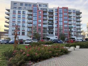 Pronájem bytu 2+kk, Pardubice - Zelené Předměstí, Pod Vinicí, 64 m2