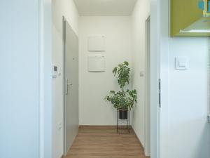 Pronájem bytu 1+kk, Moravské Budějovice, Jechova, 29 m2
