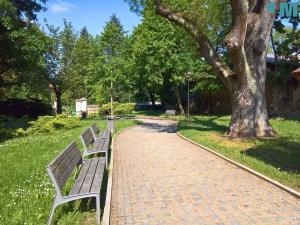Pronájem bytu 1+kk, Moravské Budějovice, Jechova, 29 m2