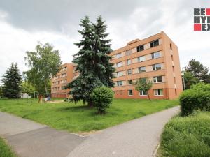 Prodej bytu 1+1, Stráž pod Ralskem, Mírová, 52 m2