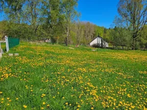 Dražba pozemku pro bydlení, Omlenice, 4505 m2