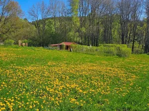 Dražba pozemku pro bydlení, Omlenice, 4505 m2