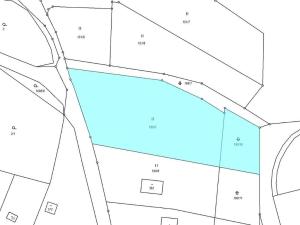 Dražba pozemku pro bydlení, Omlenice, 4505 m2