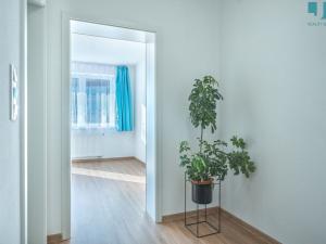 Pronájem bytu 1+kk, Moravské Budějovice, Jechova, 33 m2