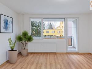 Pronájem bytu 3+1, Plzeň, U Jam, 62 m2
