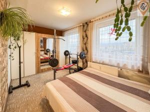 Prodej bytu 4+1, Teplice, Arbesova, 80 m2