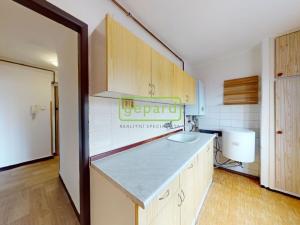 Pronájem bytu 2+1, Litoměřice - Předměstí, Michalovická, 60 m2