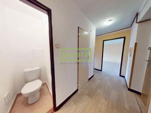 Pronájem bytu 2+1, Litoměřice - Předměstí, Michalovická, 60 m2