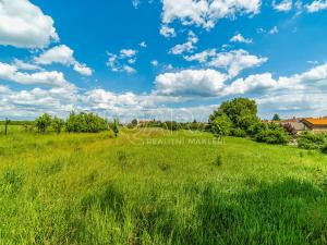 Prodej pozemku pro bydlení, Ledčice, 3164 m2