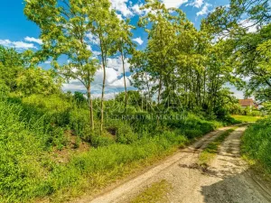 Prodej pozemku pro bydlení, Ledčice, 3164 m2