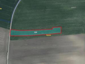 Prodej pole, Chroustov, 7193 m2