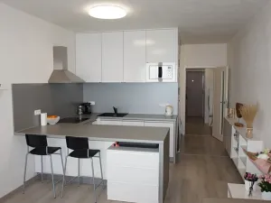 Pronájem bytu 1+kk, Brno, Řípská, 40 m2