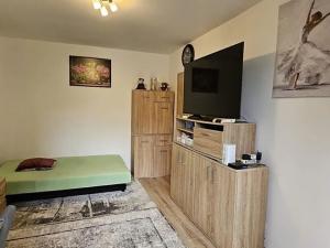 Pronájem bytu 2+kk, Meziboří, Okružní, 33 m2