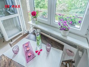 Prodej bytu 2+1, Praha - Žižkov, Viklefova, 40 m2