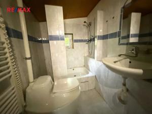 Prodej chalupy, Kralovice, 100 m2