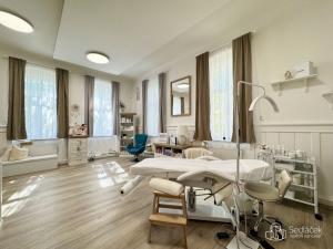 Pronájem komerční nemovitosti, Sokolov, Karla Havlíčka Borovského, 50 m2