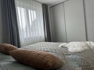 Pronájem bytu 3+kk, Zábřeh, Československé armády, 71 m2