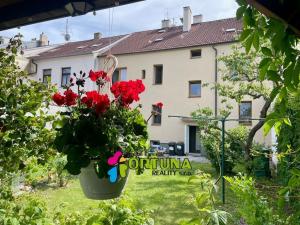 Pronájem bytu 3+kk, České Budějovice, Šumavská, 78 m2