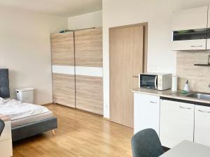 Pronájem bytu 1+kk, Brno, Košinova, 38 m2