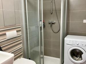 Pronájem bytu 1+kk, Brno, Košinova, 38 m2