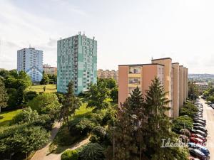 Pronájem bytu 1+kk, Praha - Záběhlice, Narcisová, 24 m2