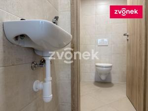 Pronájem výrobních prostor, Lukov, Průmyslová, 293 m2