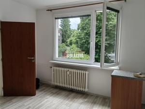 Pronájem bytu 1+1, Děčín - Děčín I-Děčín, Labská, 36 m2