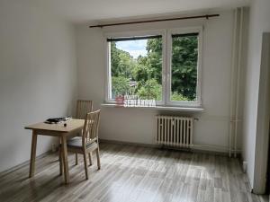 Pronájem bytu 1+1, Děčín - Děčín I-Děčín, Labská, 36 m2