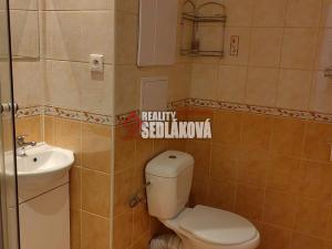 Pronájem bytu 1+1, Děčín - Děčín I-Děčín, Labská, 36 m2