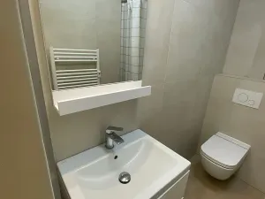 Pronájem bytu 1+kk, Ostrava, 30. dubna, 23 m2