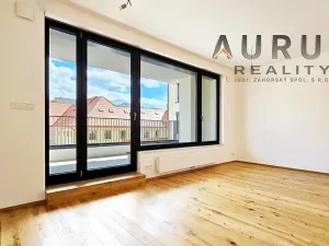 Pronájem bytu 1+kk, Praha - Nusle, Bělehradská, 42 m2