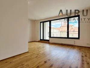 Pronájem bytu 1+kk, Praha - Nusle, Bělehradská, 42 m2