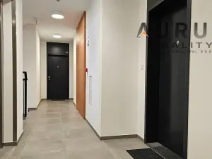 Pronájem bytu 1+kk, Praha - Nusle, Bělehradská, 42 m2