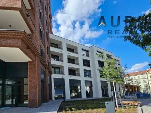 Pronájem bytu 1+kk, Praha - Nusle, Bělehradská, 42 m2