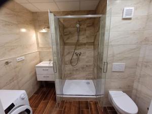 Pronájem bytu 2+kk, Hradec Králové, Václavkova, 51 m2
