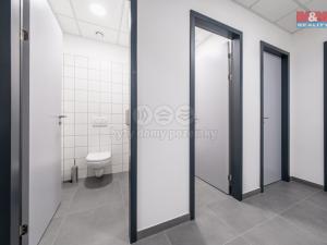 Pronájem kanceláře, Říčany, U Sanitasu, 22 m2