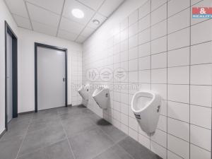 Pronájem kanceláře, Říčany, U Sanitasu, 22 m2