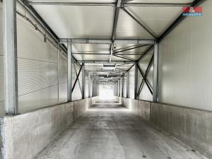 Pronájem skladu, Nupaky, Komerční, 900 m2