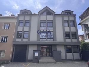 Pronájem kanceláře, Hodonín, Wilsonova, 20 m2