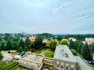 Prodej bytu 1+1, Kynšperk nad Ohří, U Pivovaru, 36 m2