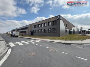 Pronájem výrobních prostor, Tachov - Oldřichov, 18200 m2